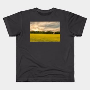 Cabin in a Field Kids T-Shirt